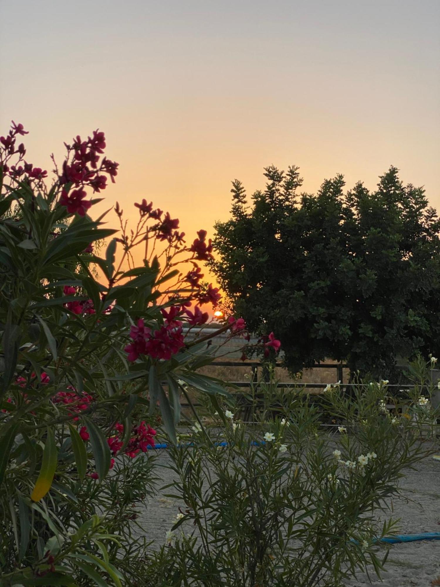 Arion Stables & Apartments Hersonissos  Exterior foto