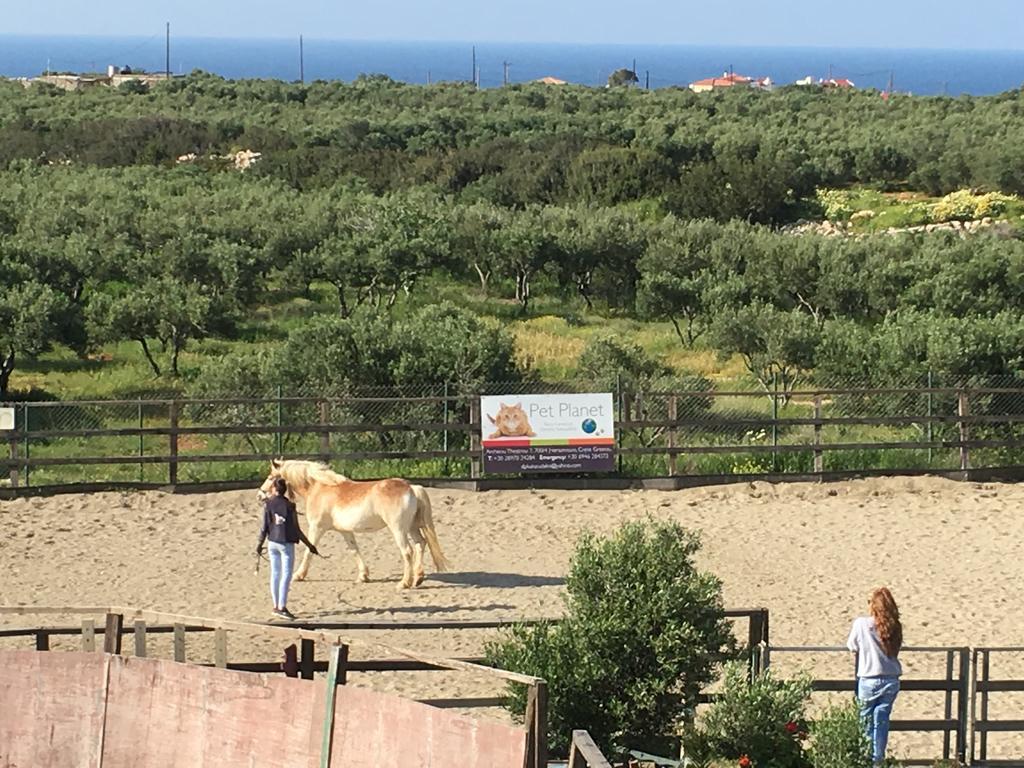 Arion Stables & Apartments Hersonissos  Exterior foto